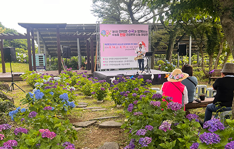 안덕면 수국축제